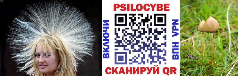 Галлюциногенные грибы GOLDEN TEACHER  кракен как зайти  Сим 